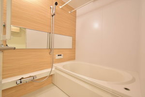 ＡＸＩＳ助信 0205号-10