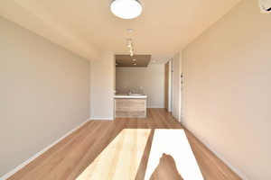 ＡＸＩＳ助信 0303号-2