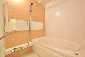 ＡＸＩＳ助信 0303号-11