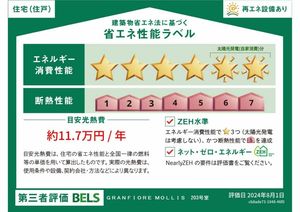 GRANFIORE MOLLIS 0203号-16