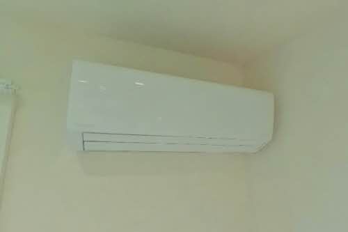 エバーグリーン A203号-9