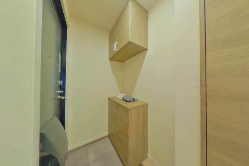 エバーグリーン A203号-11