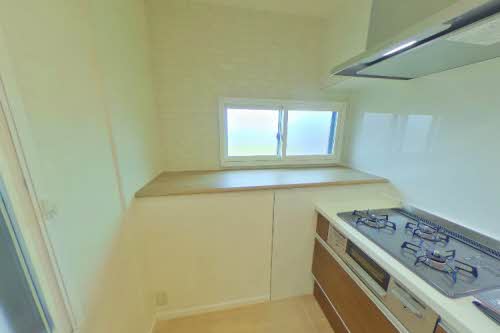 エバーグリーン A203号-12