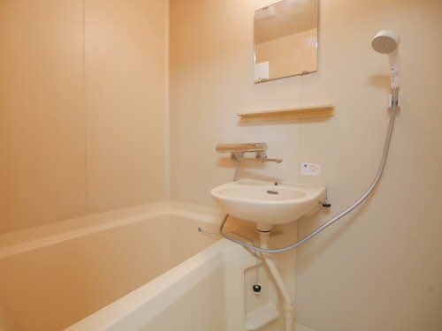 Ｓｈｉｎ’ｙ　Ｈｏｕｓｅ 0201号-8