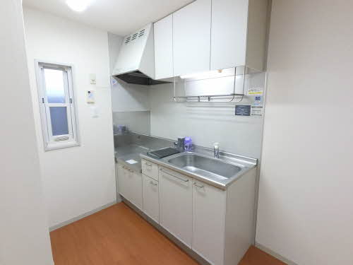 セントラルヒルズ 0202号-4