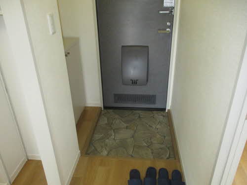 カーサ向谷 A202号-11