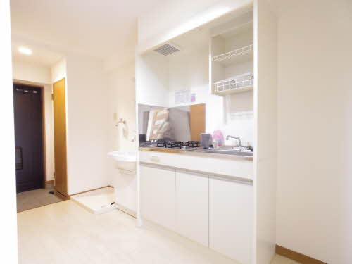 アメニティ堀越 0304号-5