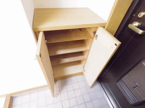 アメニティ堀越 0304号-11