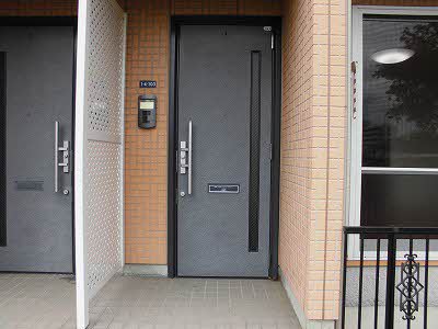 マメゾン　サクラ 0103号-11