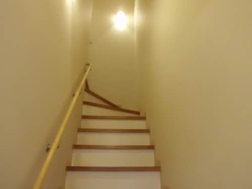 マメゾン　サクラ 0202号-3