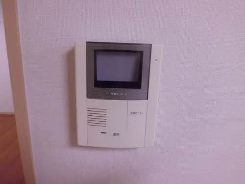 マメゾン　サクラ 0202号-6