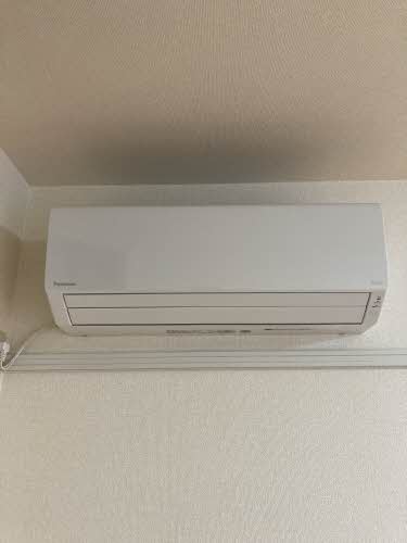 ルピナス 0102号-8