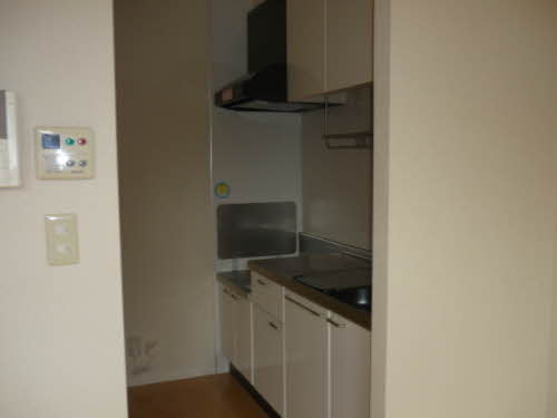 ディアスイデウラ 0201号-3