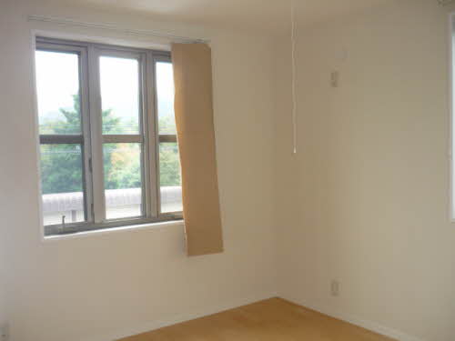 ディアスイデウラ 0201号-4