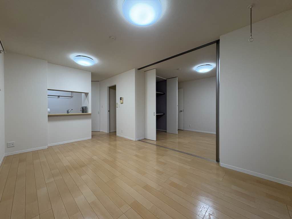 セネシオ A102号-2