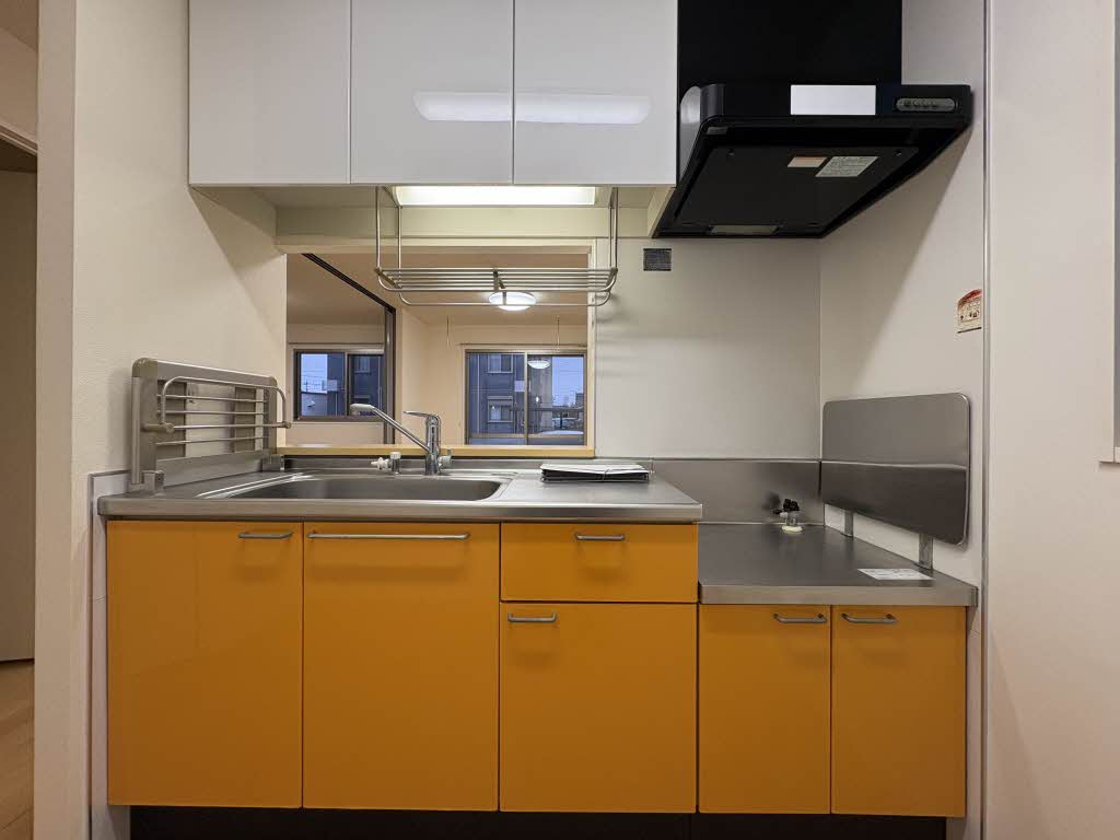 セネシオ A102号-4