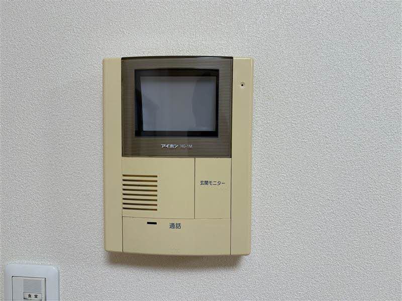 セネシオ A102号-12