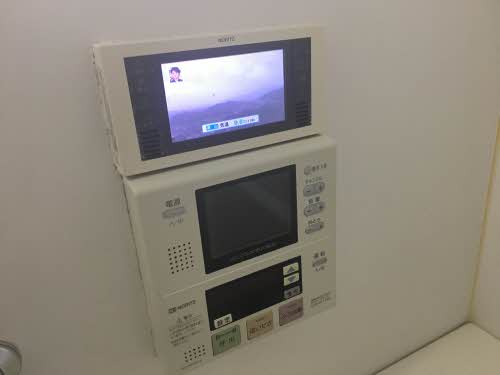 セネシオ B102号-5