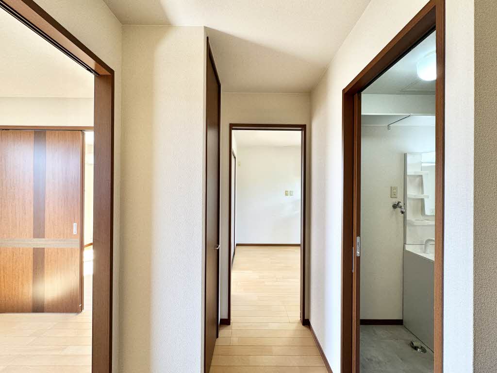 メ・ステッソ C202号-11