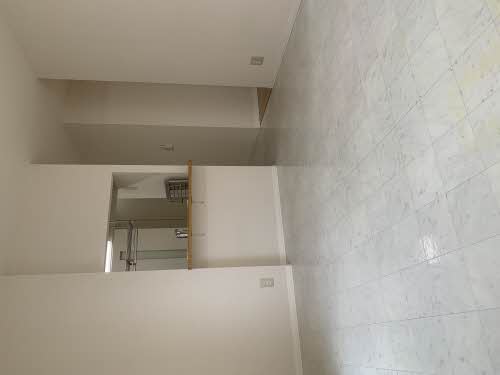 シャーメゾン知 C001号-4