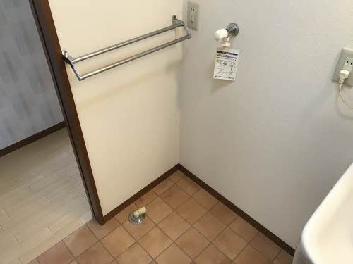 ウエストサイド　フルー 0101号-8