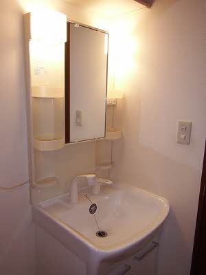 ウエストサイド　フルー 0102号-9