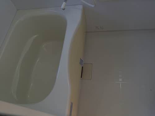 マルベリー B201号-5