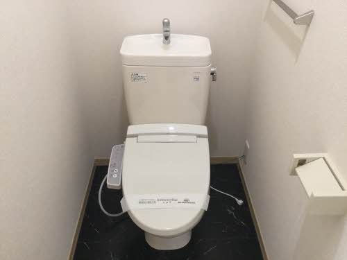 スメルズＨＩＳＡＫＡ B101号-9