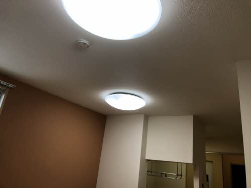 アンジェリーク 0102号-11