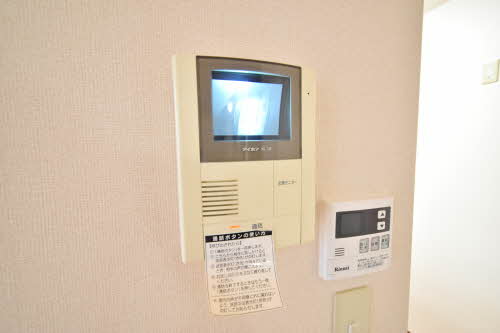 バリュージュビン 0102号-5