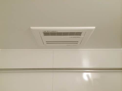 シャルマン市場木 0101号-4