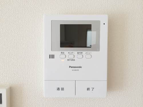 シャルマン市場木 0101号-10