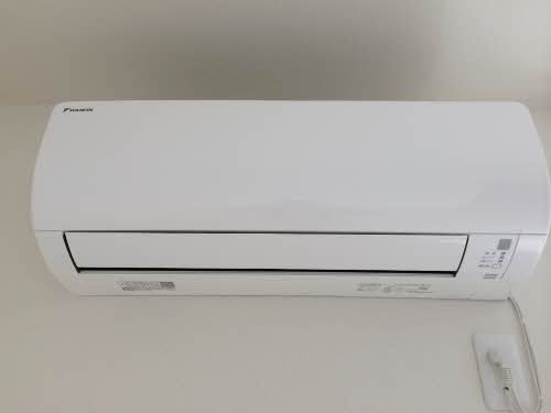 シャルマン市場木 0202号-3