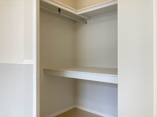 プチマーガレット 0202号-4