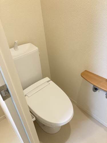 プチマーガレット 0202号-9