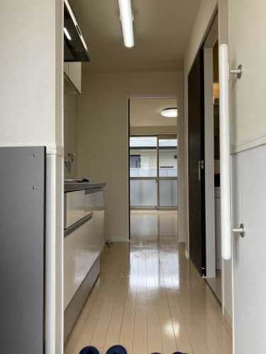 プチマーガレット 0202号-13