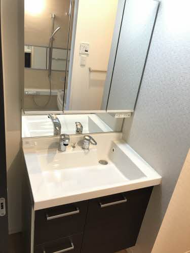 シェーブル・ゴート 0101号-10