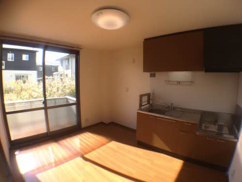 プラシノス利平治 B102号-2