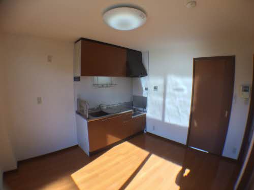 プラシノス利平治 B102号-4