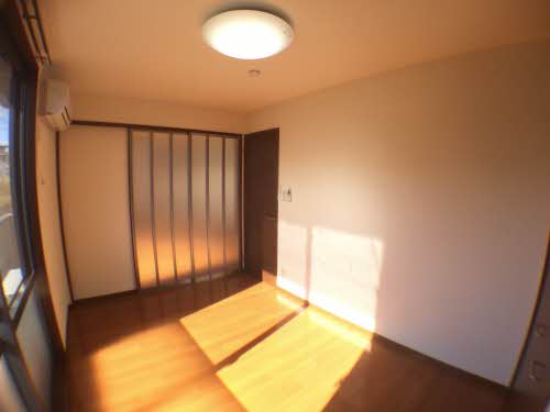 プラシノス利平治 B102号-6