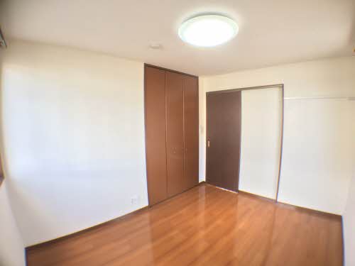 プラシノス利平治 B102号-8