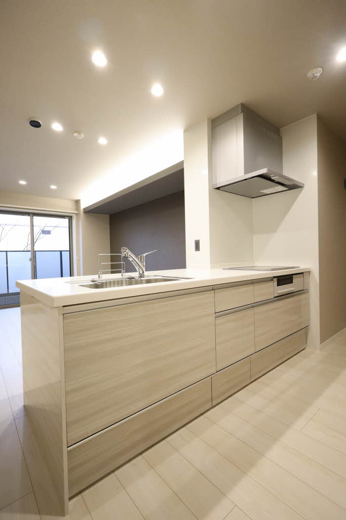 カーサ・レジデンス 0101号-10