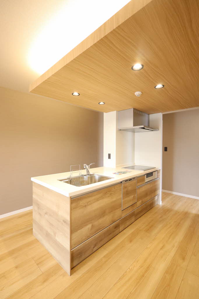 カーサ・レジデンス 0102号-10