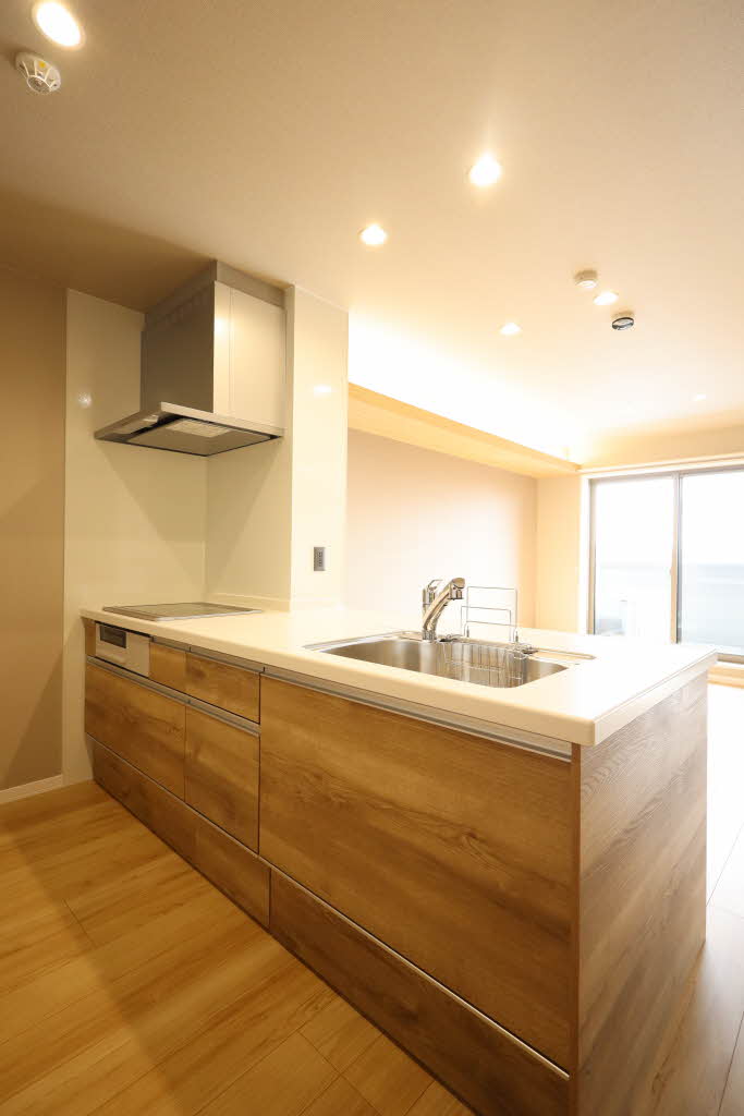 カーサ・レジデンス 0203号-10