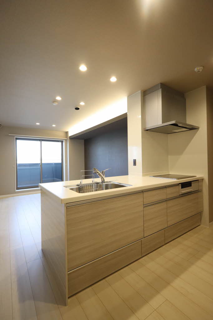 カーサ・レジデンス 0301号-9