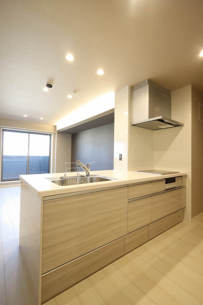 カーサ・レジデンス 0401号-10