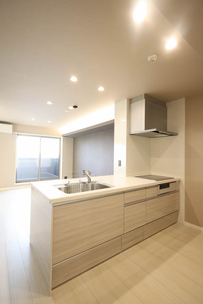 カーサ・レジデンス 0406号-9