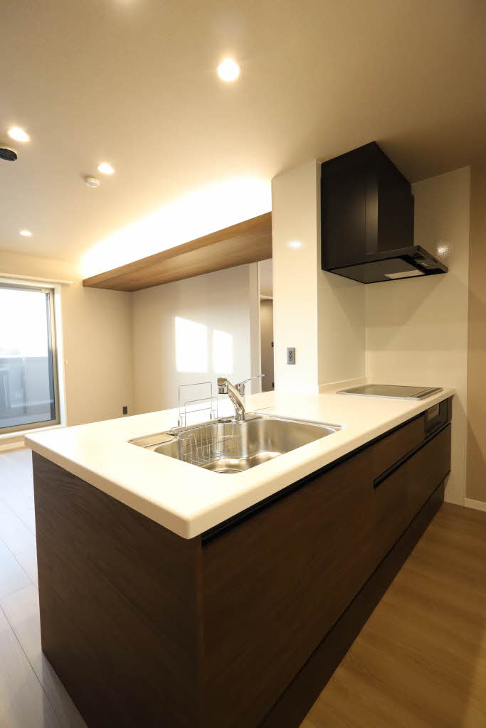 カーサ・レジデンス 0407号-9