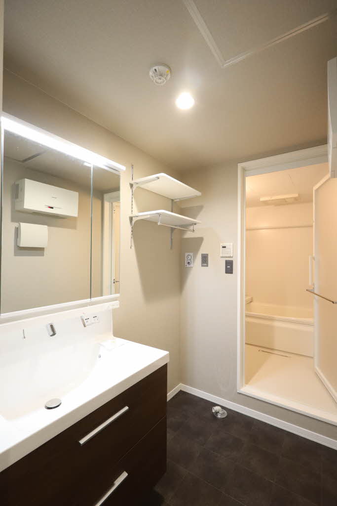 カーサ・レジデンス 0407号-11