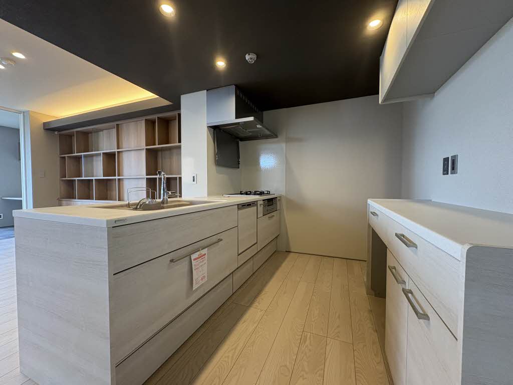 リオリエントプレミアス 0301号-4